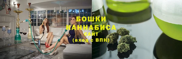 индика Майский