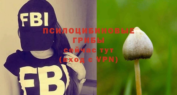 индика Майский