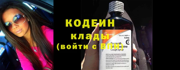 гидра Магас