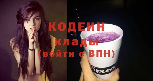 индика Майский