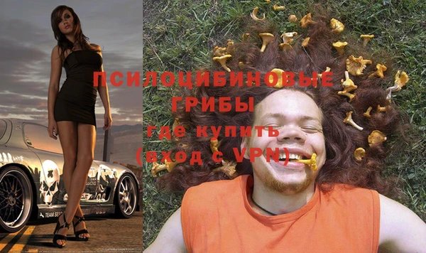 индика Майский
