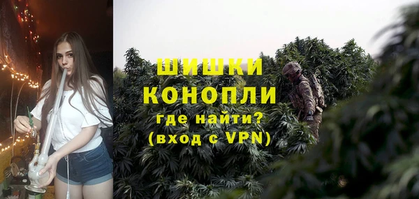 гидра Магас