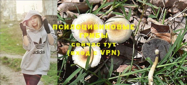 хмурый Магадан