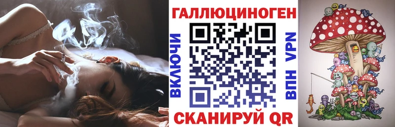 Купить где  Белозерск  Псилоцибиновые грибы MAGIC MUSHROOMS 